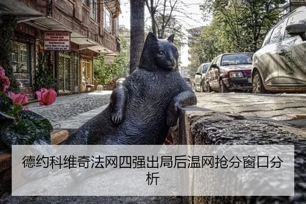 de-yue-ke-wei-qi-fa-wang-si-qiang-chu-ju-hou-wen-wang-qiang-fen-chuang-kou-fen-xi-2-429.jpg
